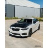 BMW M2/M2C F87 & F20/F22 1&2 SERIES carbon maska/maska