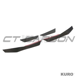 AUDI R8 V10 GEN 2 carbon SIDE lotki