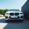 BMW G01 X3 2017-2021 DOUBLE SLAT BLACK grille