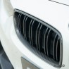 BMW M3/M4 F80/F82/F83 carbon przód grille