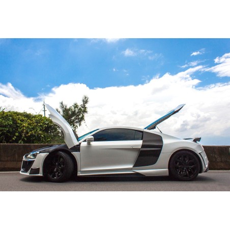 Audi R8 częściowy karbon progi boczne (DPGT) pasuje do Coupe | Spyder | KURO