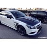 Mercedes Benz CLS Class W218 BKSS maska | KURO