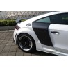 Audi TT & TTS DPRG boczne listwy | KURO