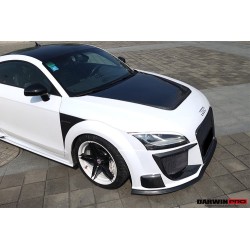 Audi TT & TTS DPRG maska | KURO
