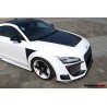 Audi TT & TTS DPRG maska | KURO