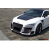 Audi TT & TTS DPRG maska | KURO