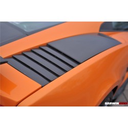 Lamborghini Gallardo Coupe Heat Extract | KURO
