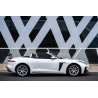 Jaguar F-Type Coupe & Convertible IMP osiągi błotnik | KURO
