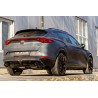 Remus Cupra Formentor VZ5 2.5 GPF-Back (EC)