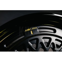 AL13 C025-109R