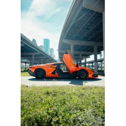 MV Forged HS20