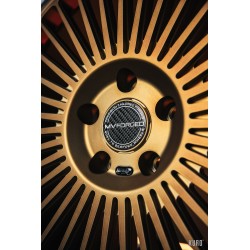 MV Forged HS35