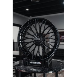 AL13 R100