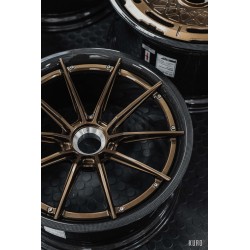 AL13 CF-R10