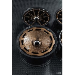 AL13 CF-R10
