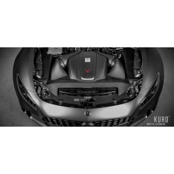 Układ dolotowy Eventuri Carbon do Mercedes AMG GT / GTS / GTR