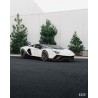 MV Forged MR-250 Carbon