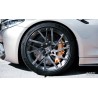 Turismo DVF