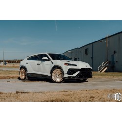 AG Luxury AGL83