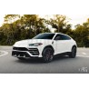 AG Luxury AGL58