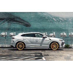AG Luxury AGL56