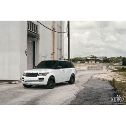 AG Luxury AGL49