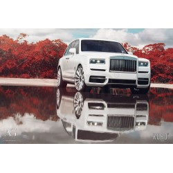 AG Luxury AGL48-RR