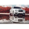 AG Luxury AGL48-RR