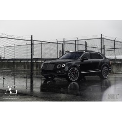 AG Luxury AGL41