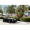 AG Luxury AGL38-RR