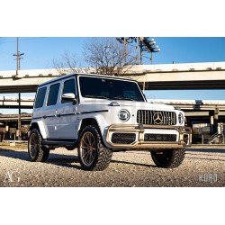 AG Luxury AGL19