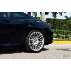 HRE 309M
