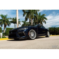 HRE 309M