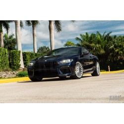 HRE 309M