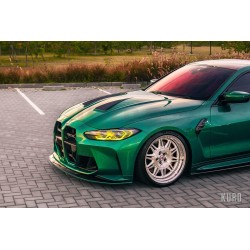 HRE 528