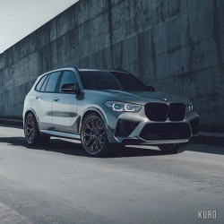 Brixton PF13-RS