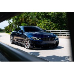 HRE P101