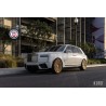 HRE L103M