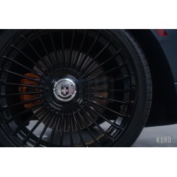 HRE L109M