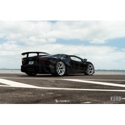 Anrky S1/S2-X0