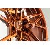 Anrky S1/S2-X2