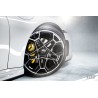 Techart Daytona II