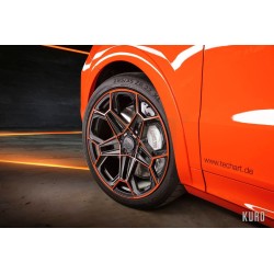 Techart Daytona II