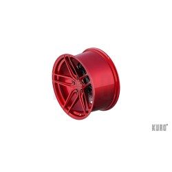 Z-Performance ZP2.1