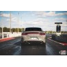 AWE Dodge Charger 15+ 6.4L Track Edition
