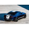 AWE Ford S197 Shelby GT500 Track Edition