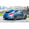 Borla Volkswagen Beetle 2.0L Cat-back