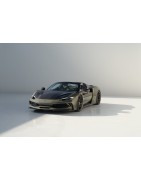 296 GTS N-Largo | KURO Detailing