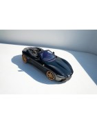 Roma Spider | KURO Detailing