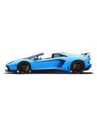 Aventador Roadster